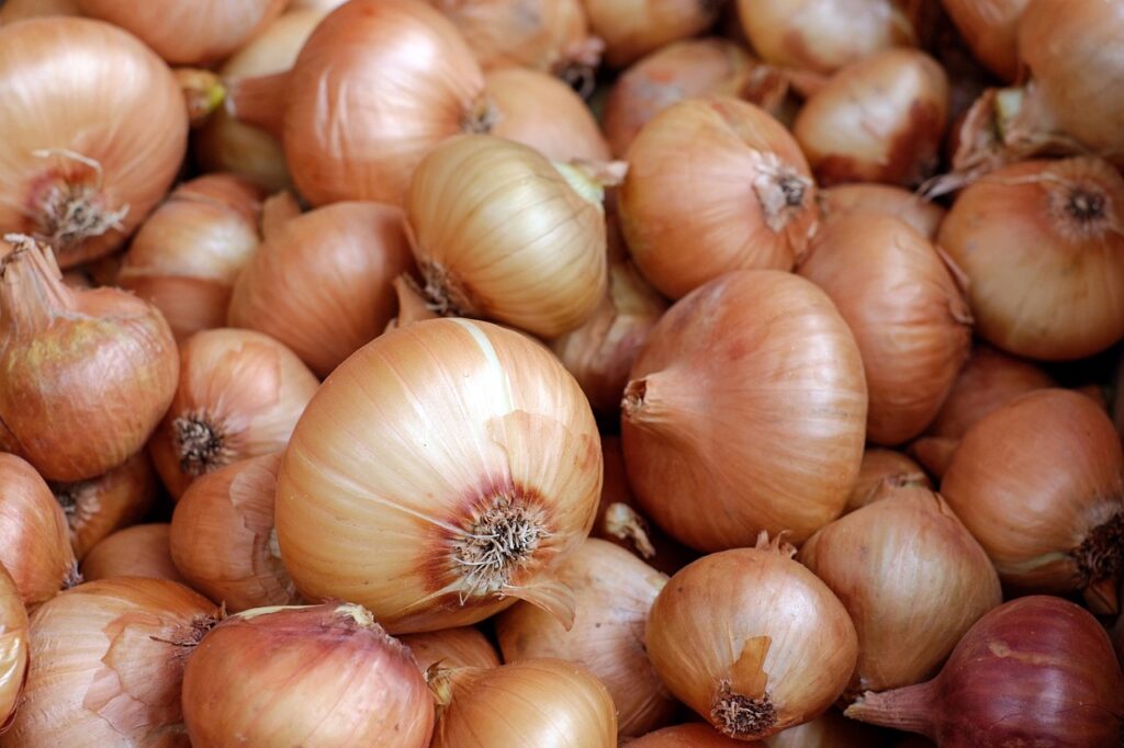 grow onions