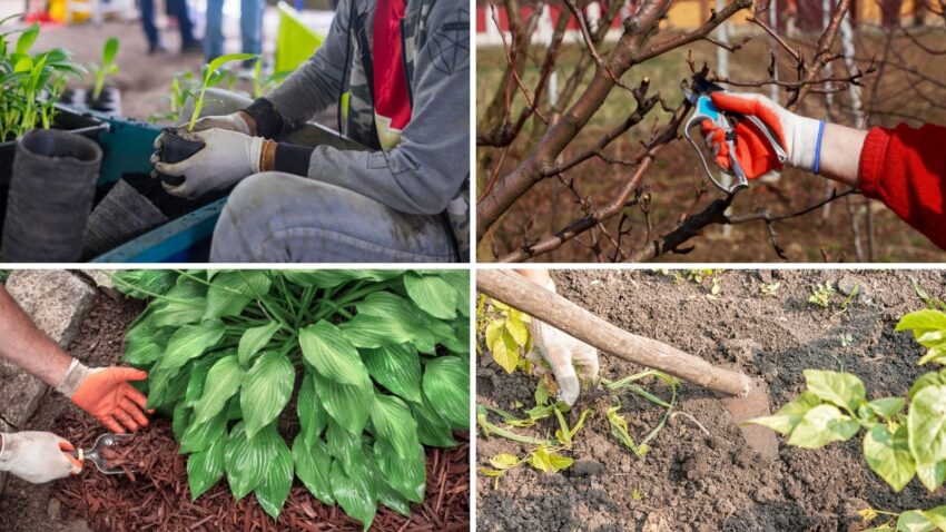 4 Things You Can Do In The Garden in April!