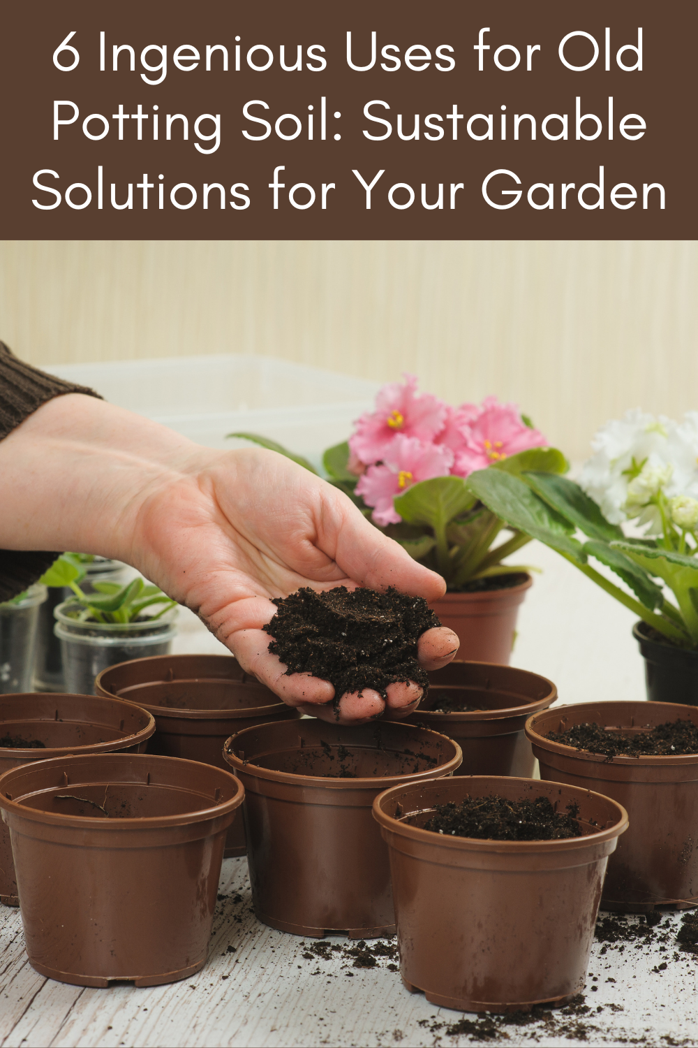 6 Ingenious Uses for Old Potting Soil Sustainable Solutions for Your