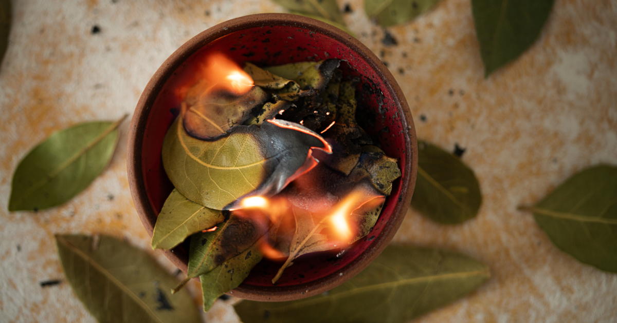 Why You Should Burn a Bay Leaf in Your Home Garden Beds